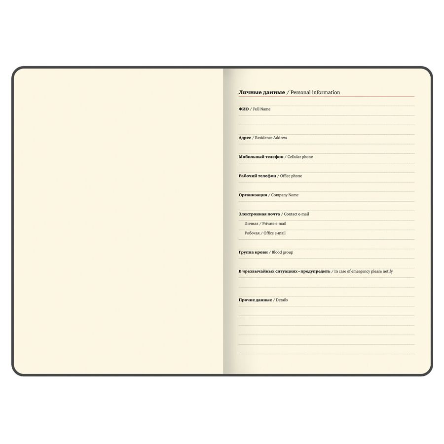 Еженедельник датированный 2026, БОЛЬШОЙ ФОРМАТ 210х297 мм, А4, BRAUBERG