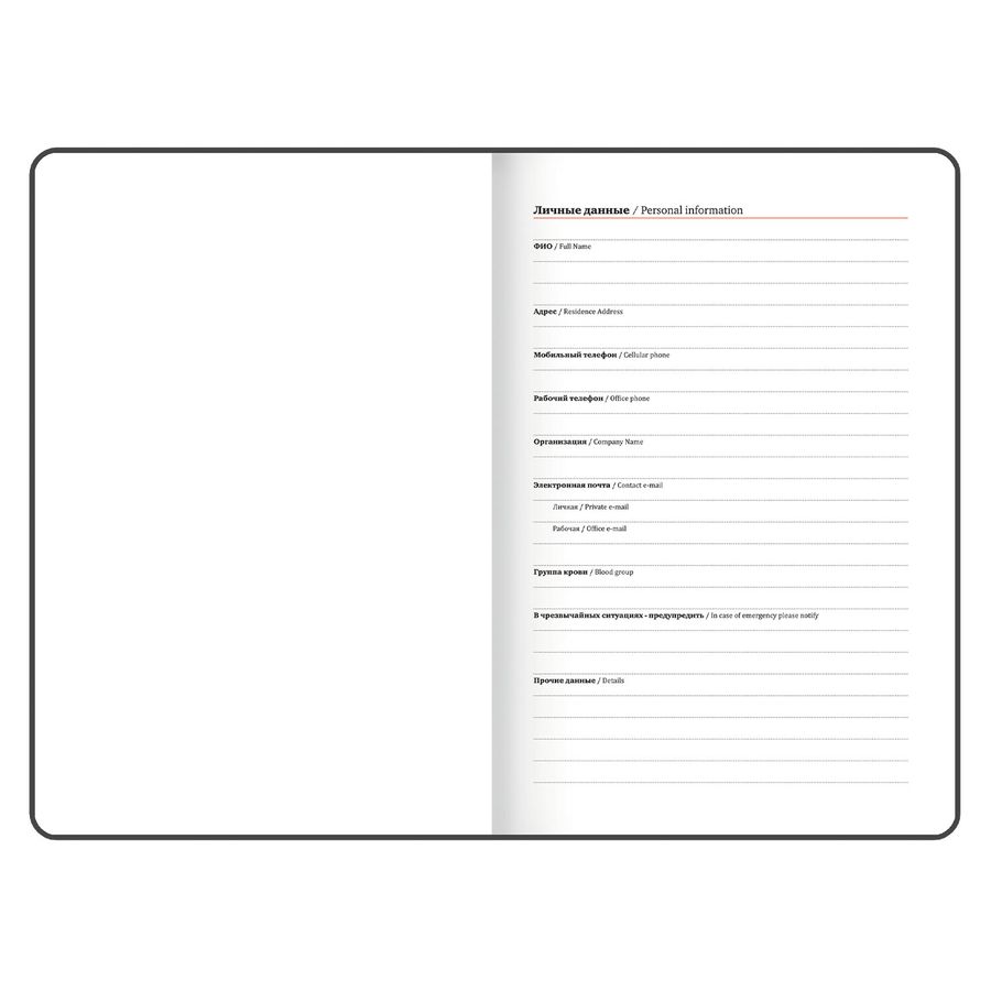 Еженедельник датированный 2026 А5 145х215 мм, BRAUBERG 