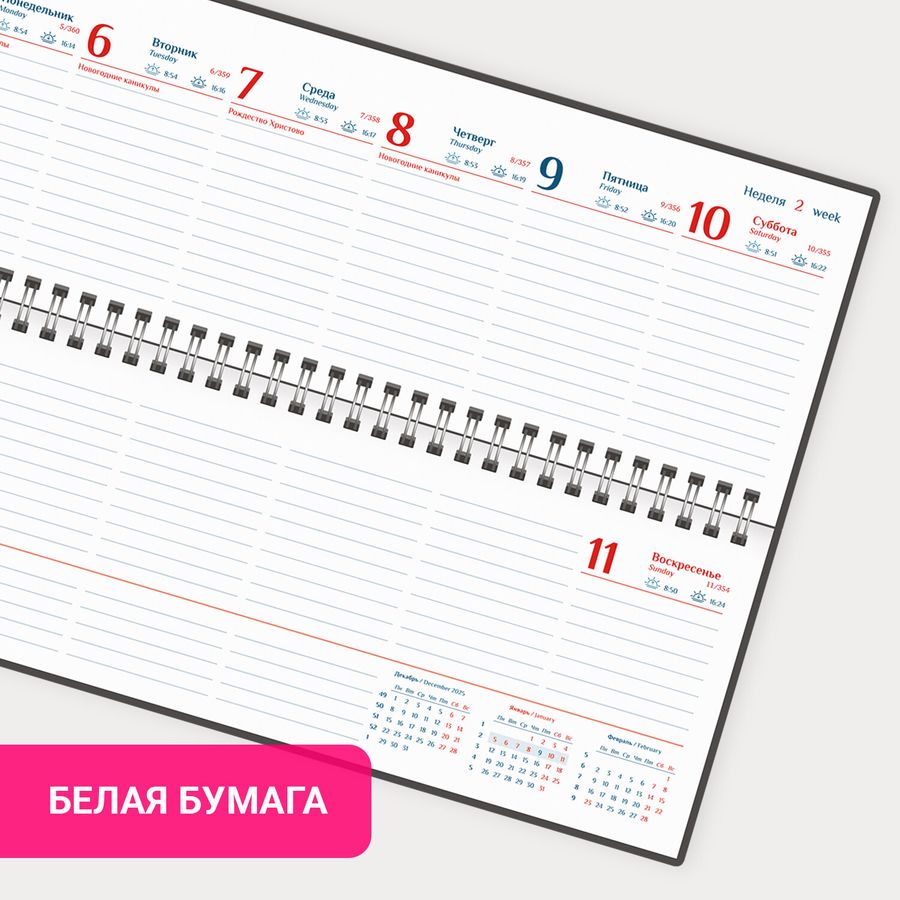 Планинг датированный 2026 305х140 мм GALANT