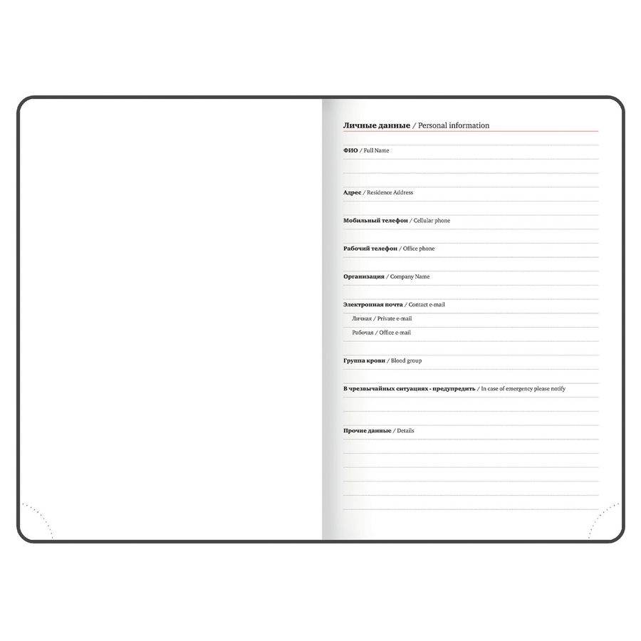 Ежедневник датированный 2026 БОЛЬШОЙ ФОРМАТ 210х297 мм, А4, BRAUBERG 