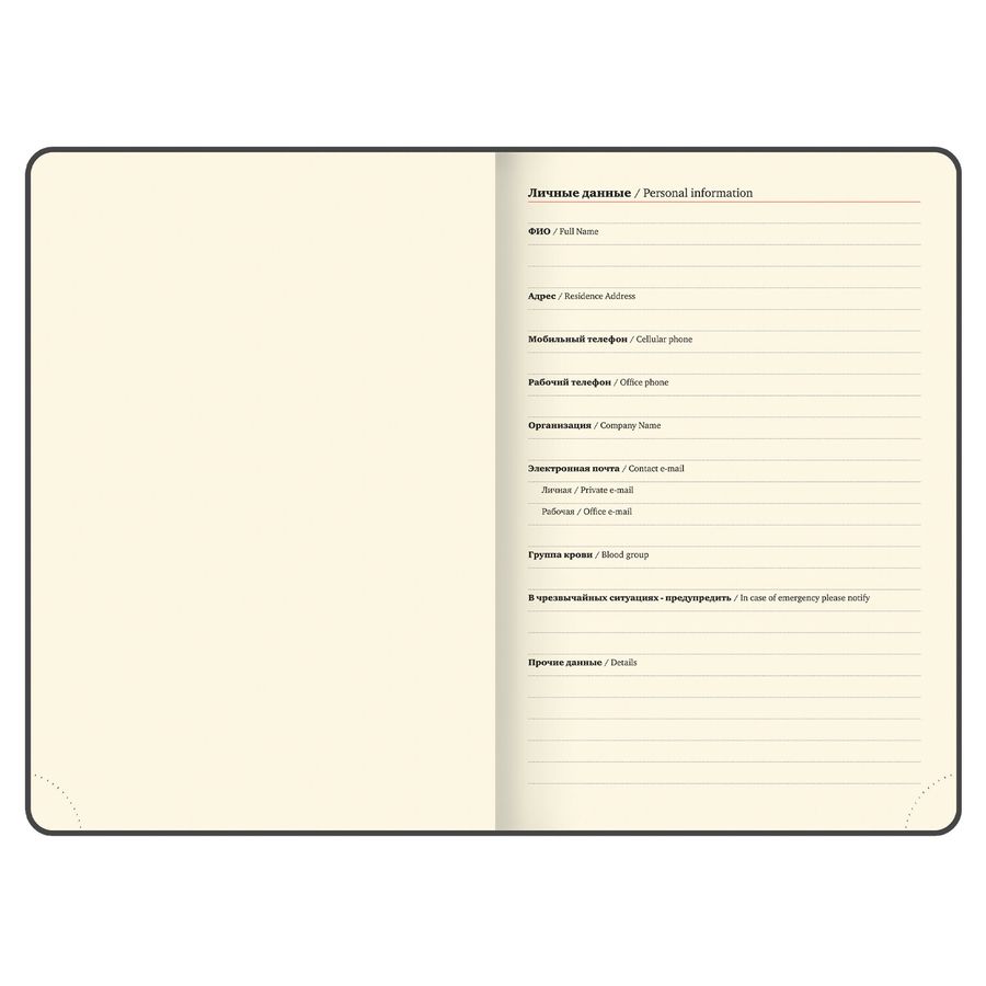 Ежедневник датированный 2026, БОЛЬШОЙ ФОРМАТ 210х297 мм, А4, BRAUBERG 