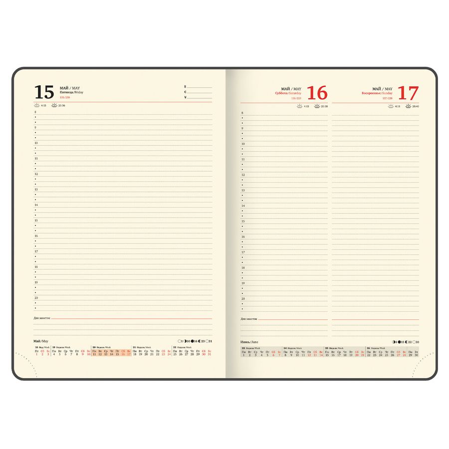 Ежедневник датированный 2026 БОЛЬШОЙ ФОРМАТ 210х297 мм, А4, BRAUBERG 