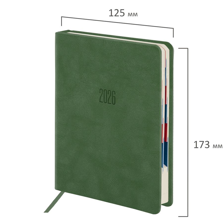 Ежедневник датированный 2026 B6 125х173 мм, GALANT 