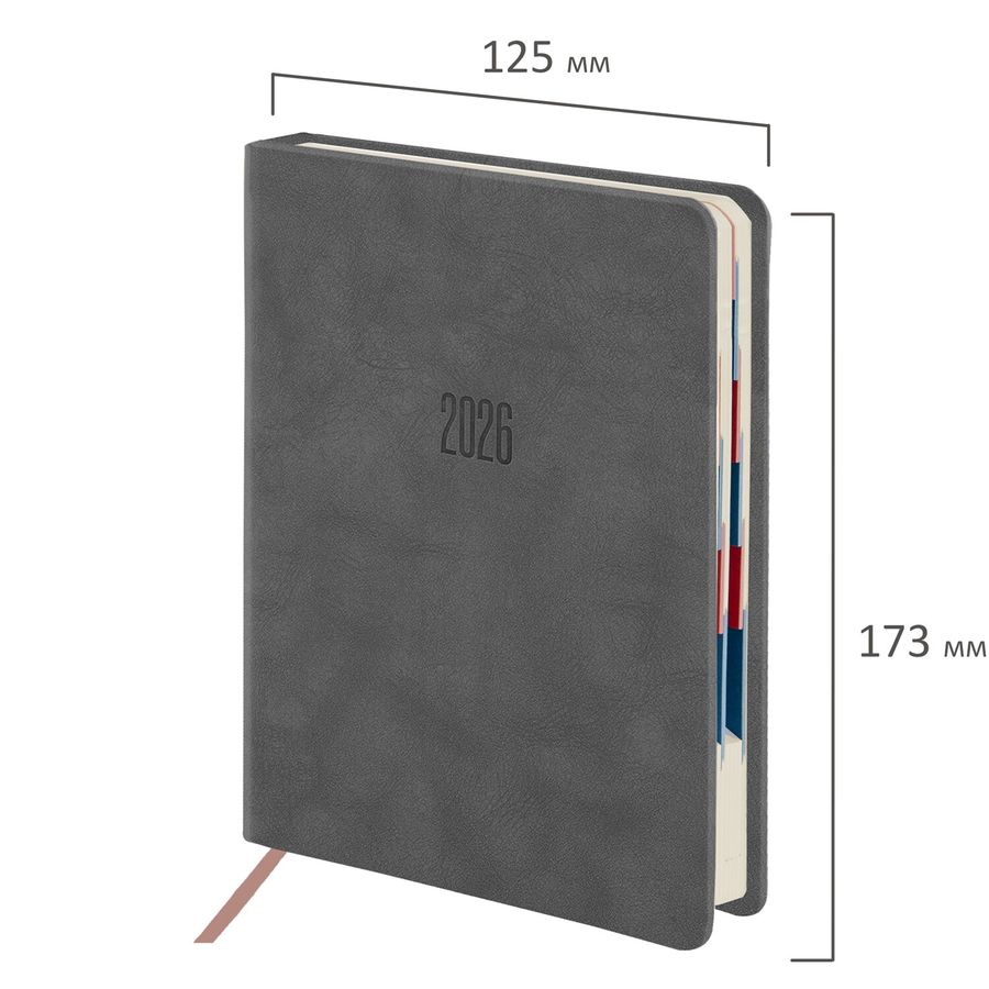 Ежедневник датированный 2026 B6 125х173 мм, GALANT 