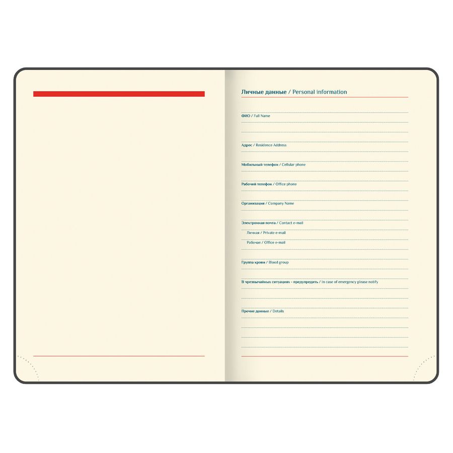 Ежедневник датированный 2026 B6 125х173 мм, GALANT 