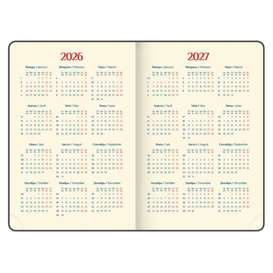 Ежедневник датированный 2026 B6 125х173 мм, GALANT 