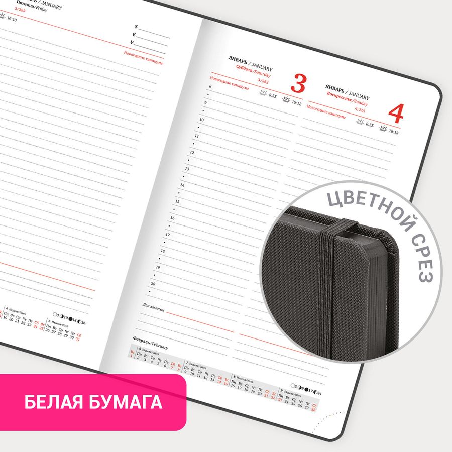 Ежедневник датированный 2026, А5, 138х213 мм, BRAUBERG "Plain", под кожу, резинка, держатель для ручки, черный