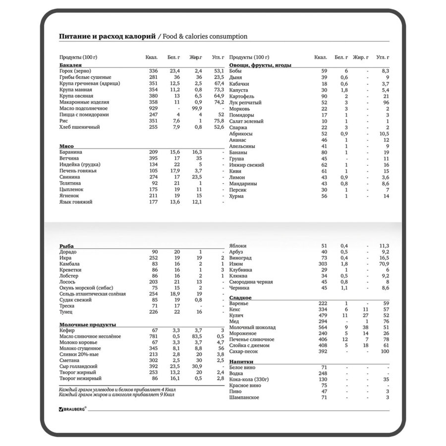 Еженедельник недатированный с резинкой 171х93 мм, BRAUBERG, твердый, 64 л., "Minimal", сиреневый