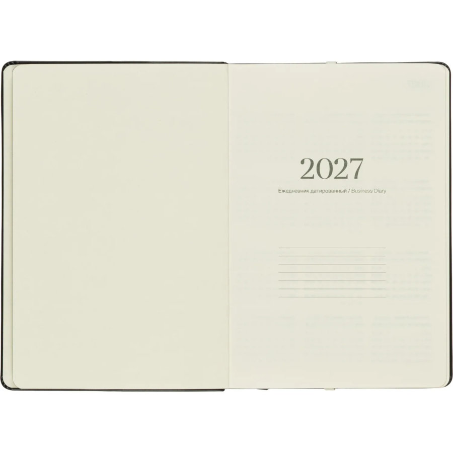 Ежедневник датированный 2027 IF 140x200 176л мягк рез Безгранич I1927/black