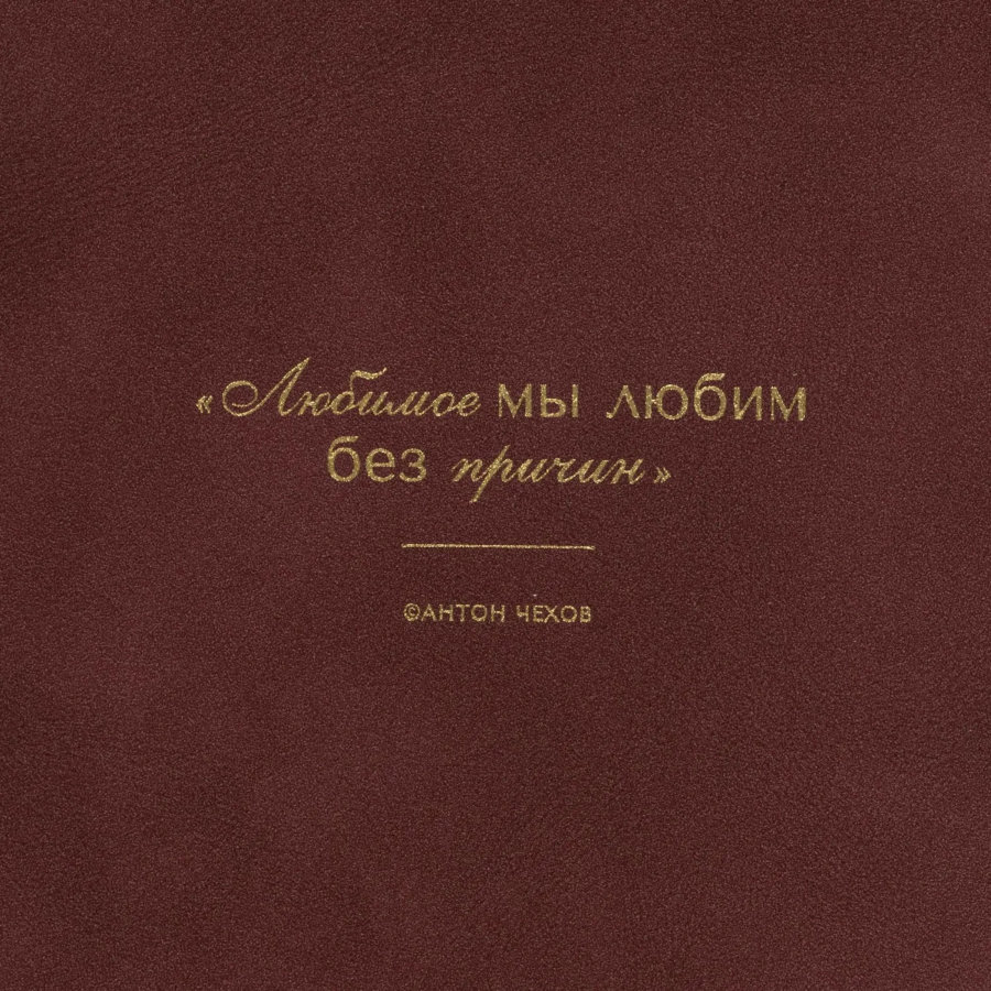 Ежедневник датированный 2027 IF 140x200мм 176л тверд Письма I1919/bordo
