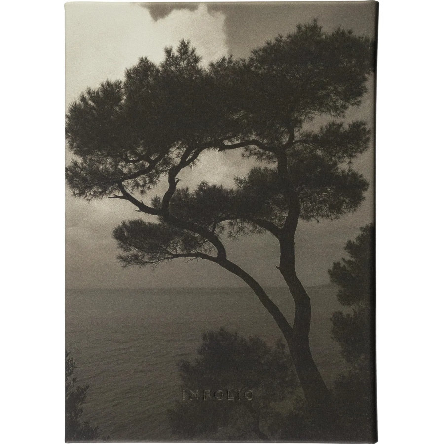 Ежедневник датированный 2027 IF 140x200мм 176л тверд Тишина I1920/wood