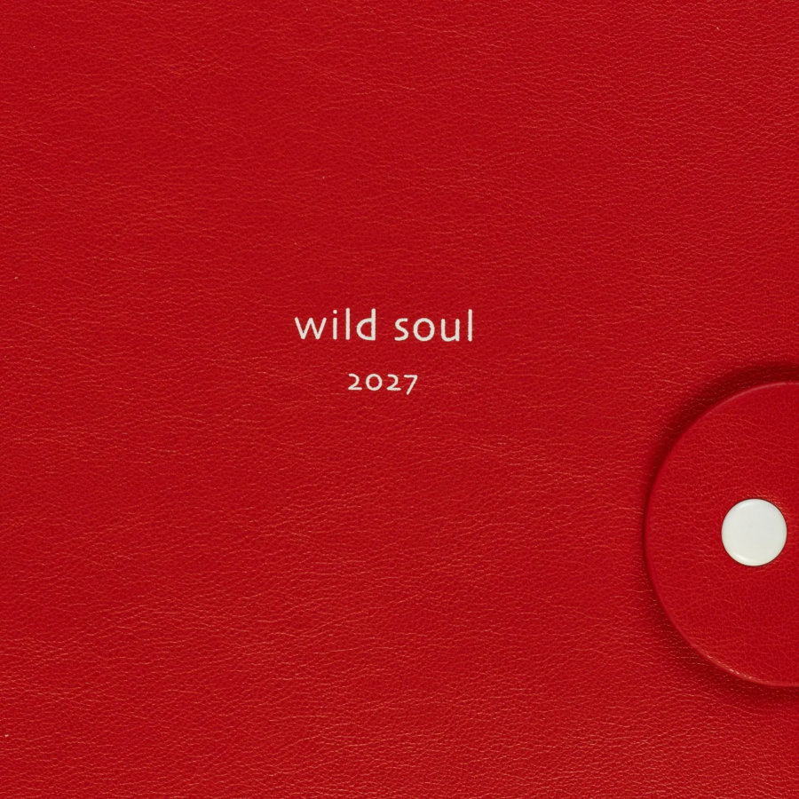 Ежедневник датированный 2027 IF140x200мм 160л мягк спираль Wild I1962/red