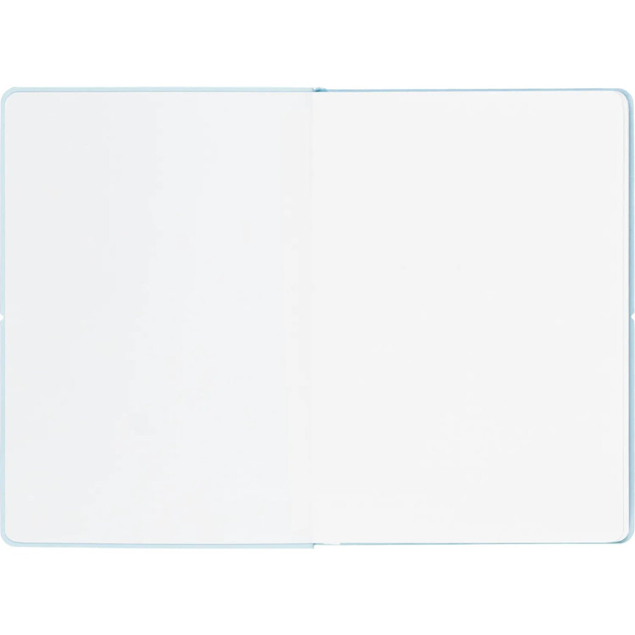 Ежедневник недатированный IF 140x200 160л мягк рез Конфеты I1864/light-blue