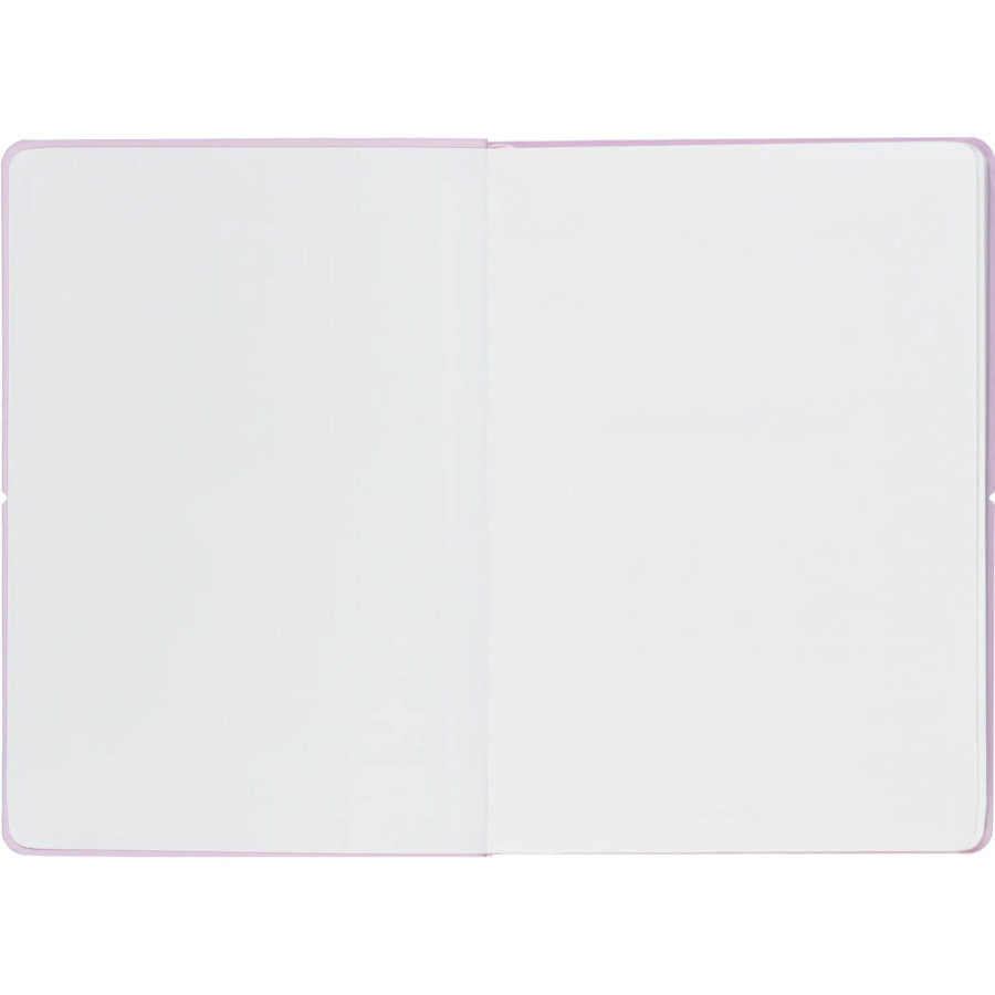 Ежедневник недатированный IF 140x200мм 160л мягк с рез Конфеты I1864/pink