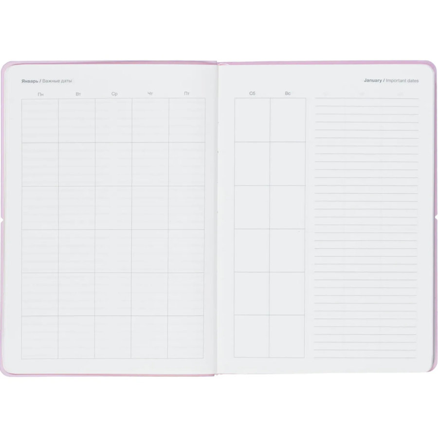Ежедневник недатированный IF 140x200мм 160л мягк с рез Конфеты I1864/pink