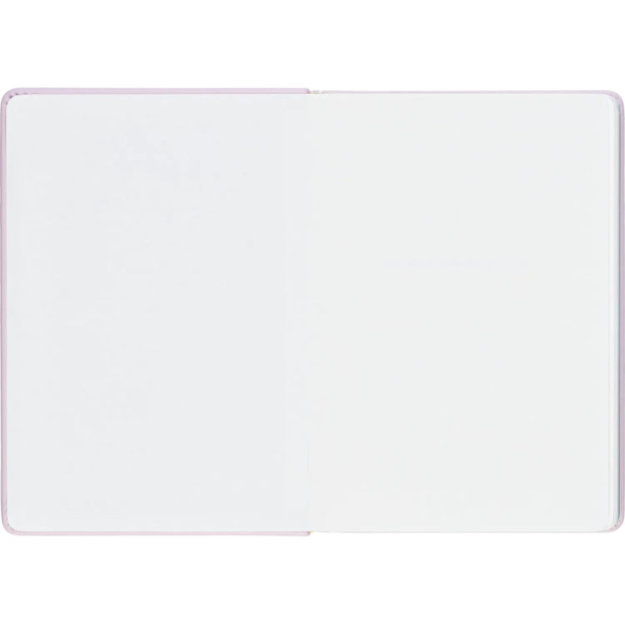 Ежедневник недатированный IF 140x200мм 160л тверд Краски I2000/pink