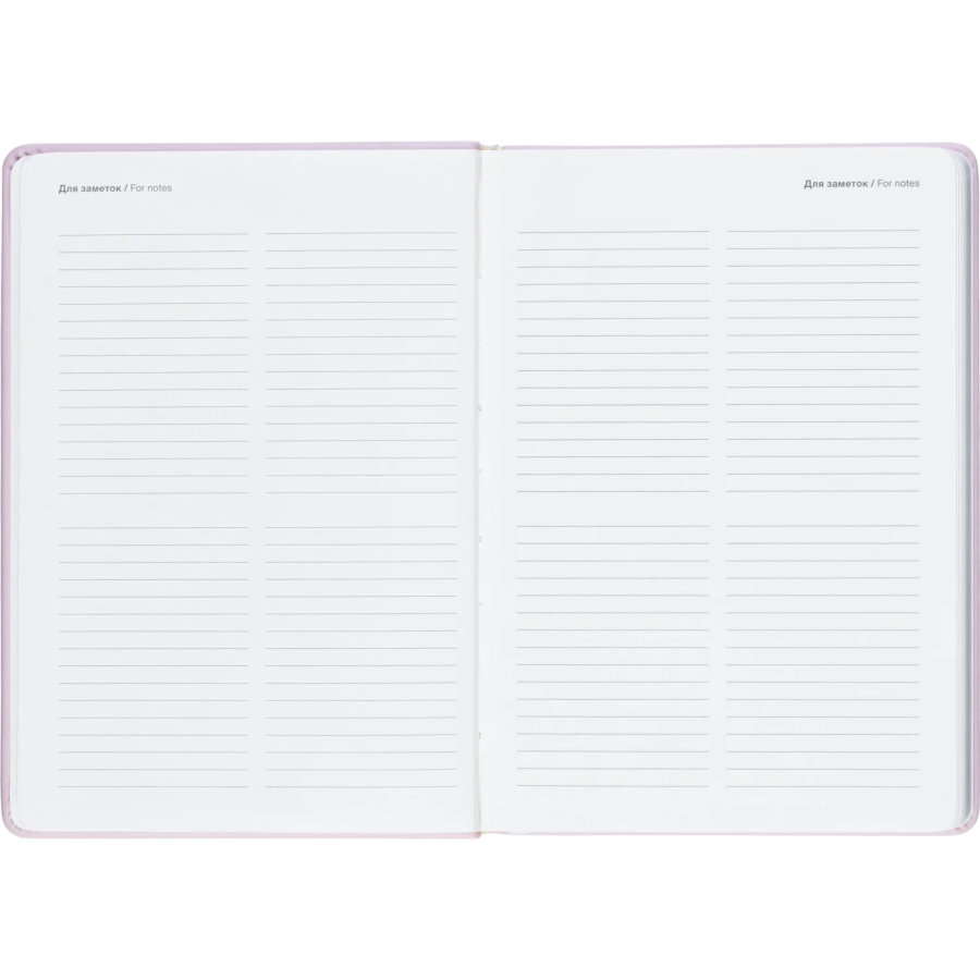 Ежедневник недатированный IF 140x200мм 160л тверд Краски I2000/pink
