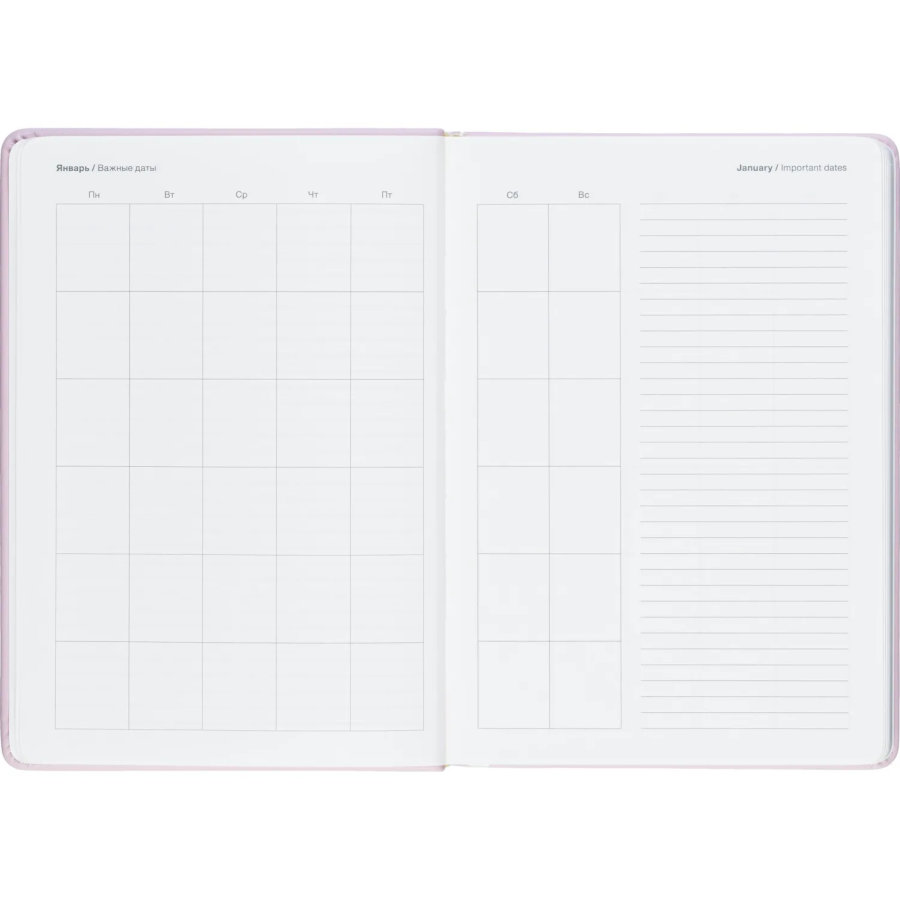 Ежедневник недатированный IF 140x200мм 160л тверд Краски I2000/pink