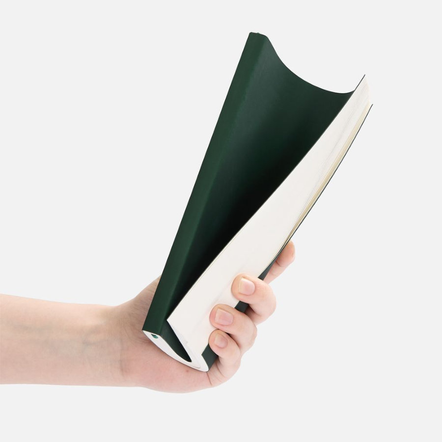 Ежедневник Flat Light ver.2 недатированный зеленый