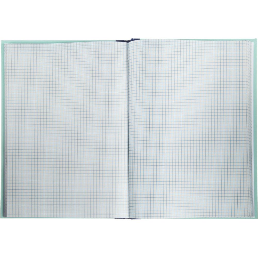 Книга амбарная 96л, А4, клетка, сшивка, обложка плотный картон