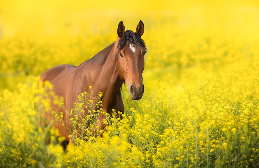 Календарь трехсекционный на 2026 год,