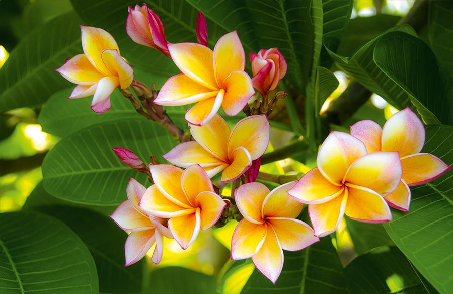 Календарь трехсекционный на 2026 год,