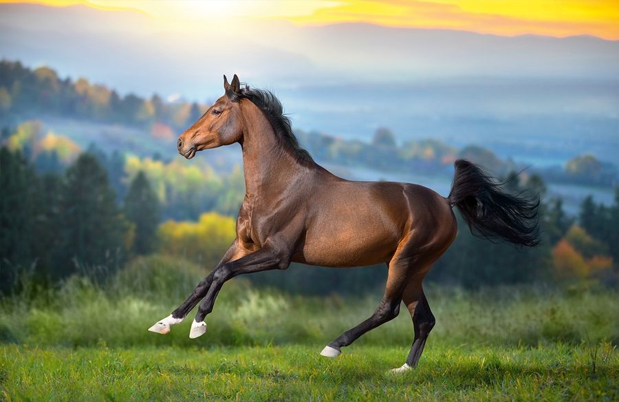 Календарь трехсекционный с магнитным курсором   на 2026 год,  