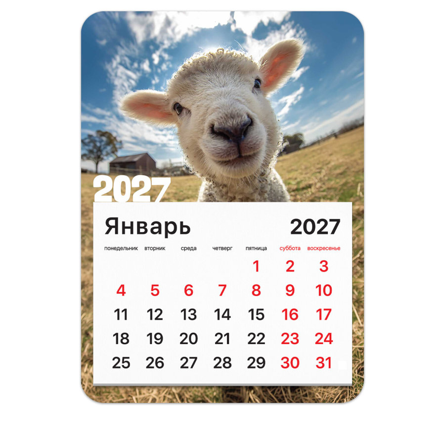 Календарь отрывной на магните на 2027 г., BRAUBERG, 130x180 мм, склейка, "Символ года"