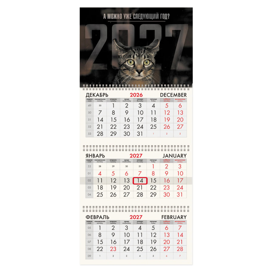 Календарь квартальный на 2027 г., 3 блока, 3 гребня, бегунок, мелованная бумага, BRAUBERG FUN, "Sad cat"