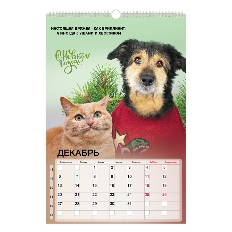 Календарь на гребне с ригелем 2027 г., 30x45 см, BRAUBERG, "Не падай духом"