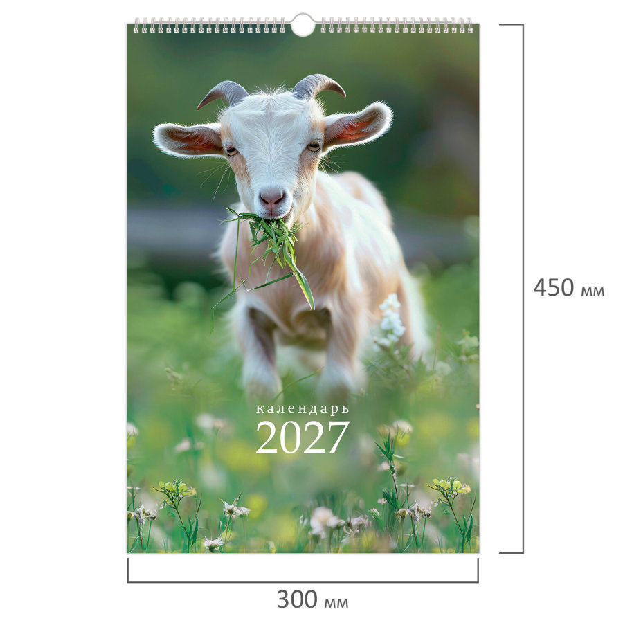 Календарь на гребне с ригелем 2027 г., 30x45 см, BRAUBERG, "Символ года"