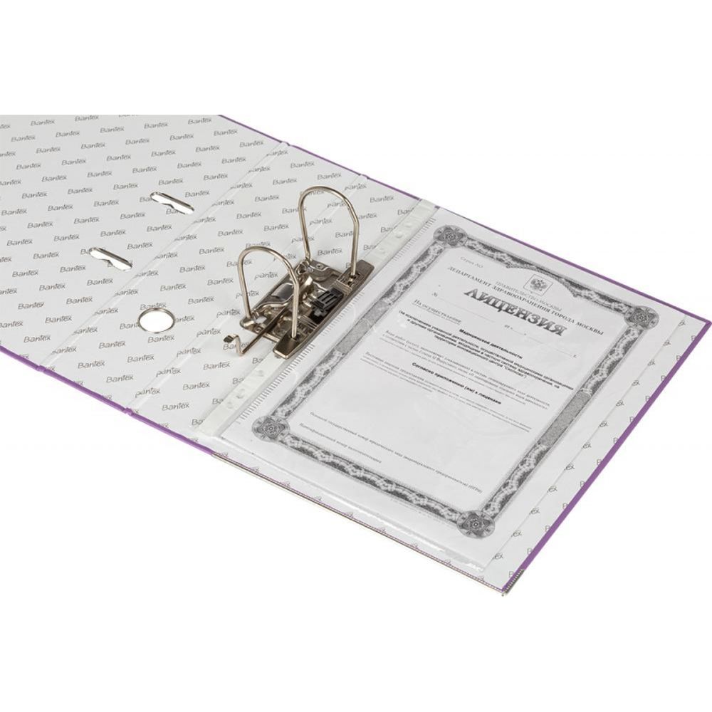 Регистратор BANTEX Economy PLUS 1446-01, 80мм, фиолетовый