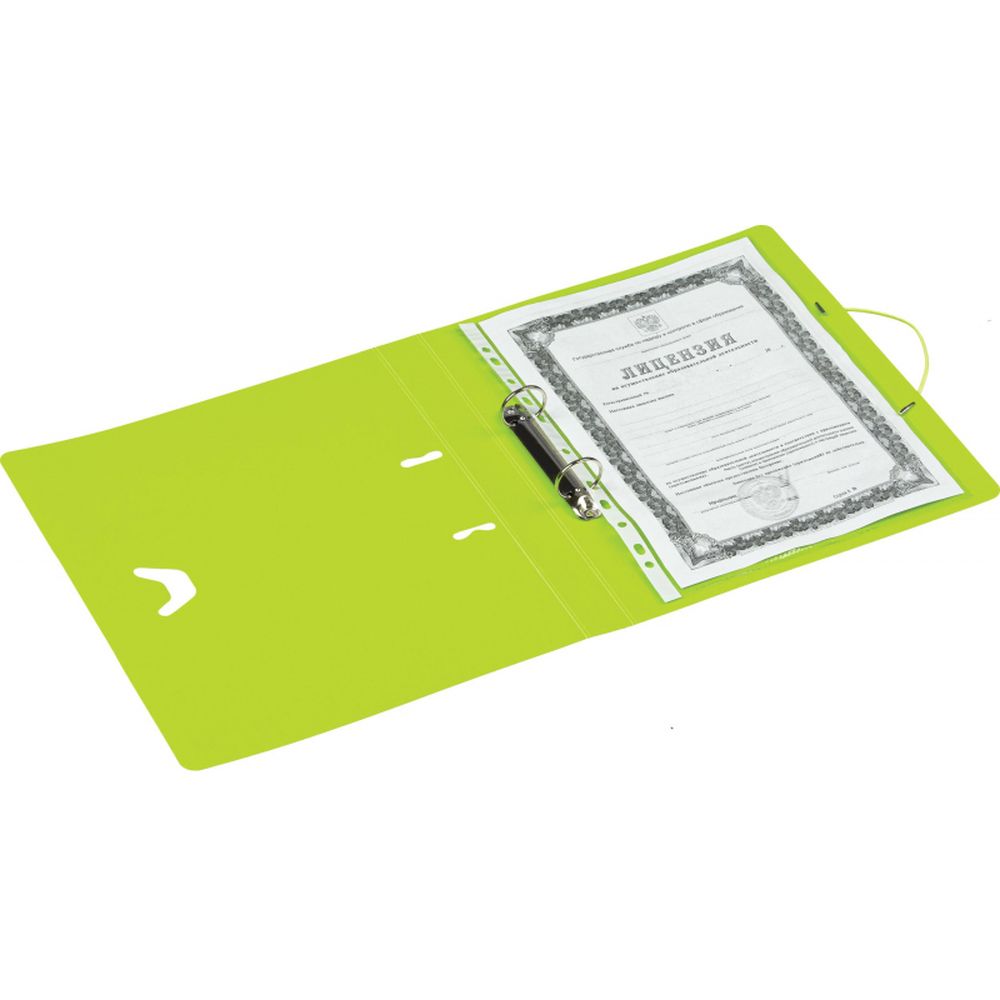 Папка на 2-х кольцах Attache Fantasy, А4, 30/35мм, пластик, салатовая