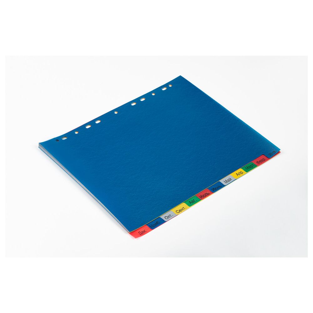 Разделитель пластиковый широкий BRAUBERG, А4+, 12 листов, Январь-Декабрь, оглавление, цветной