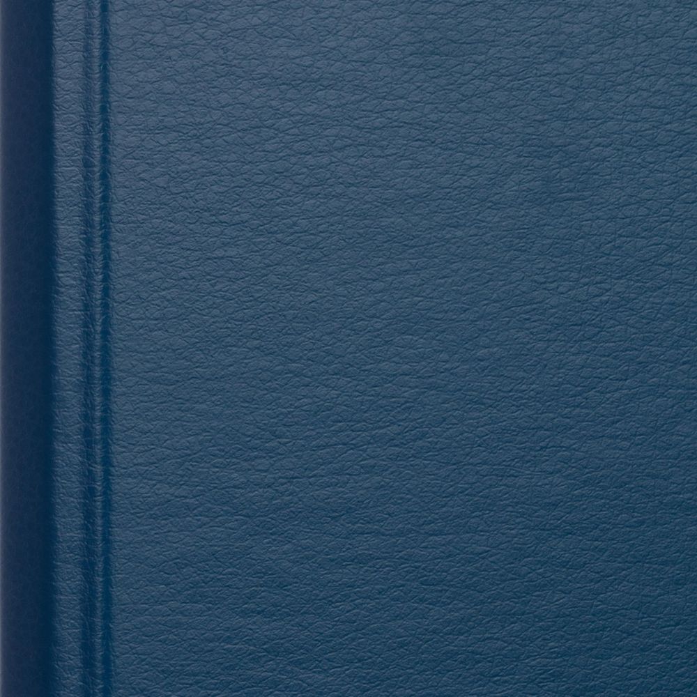 Папка с механическим прижимом Bantex 3301-01, А4, картон/ПВХ, синяя 3026