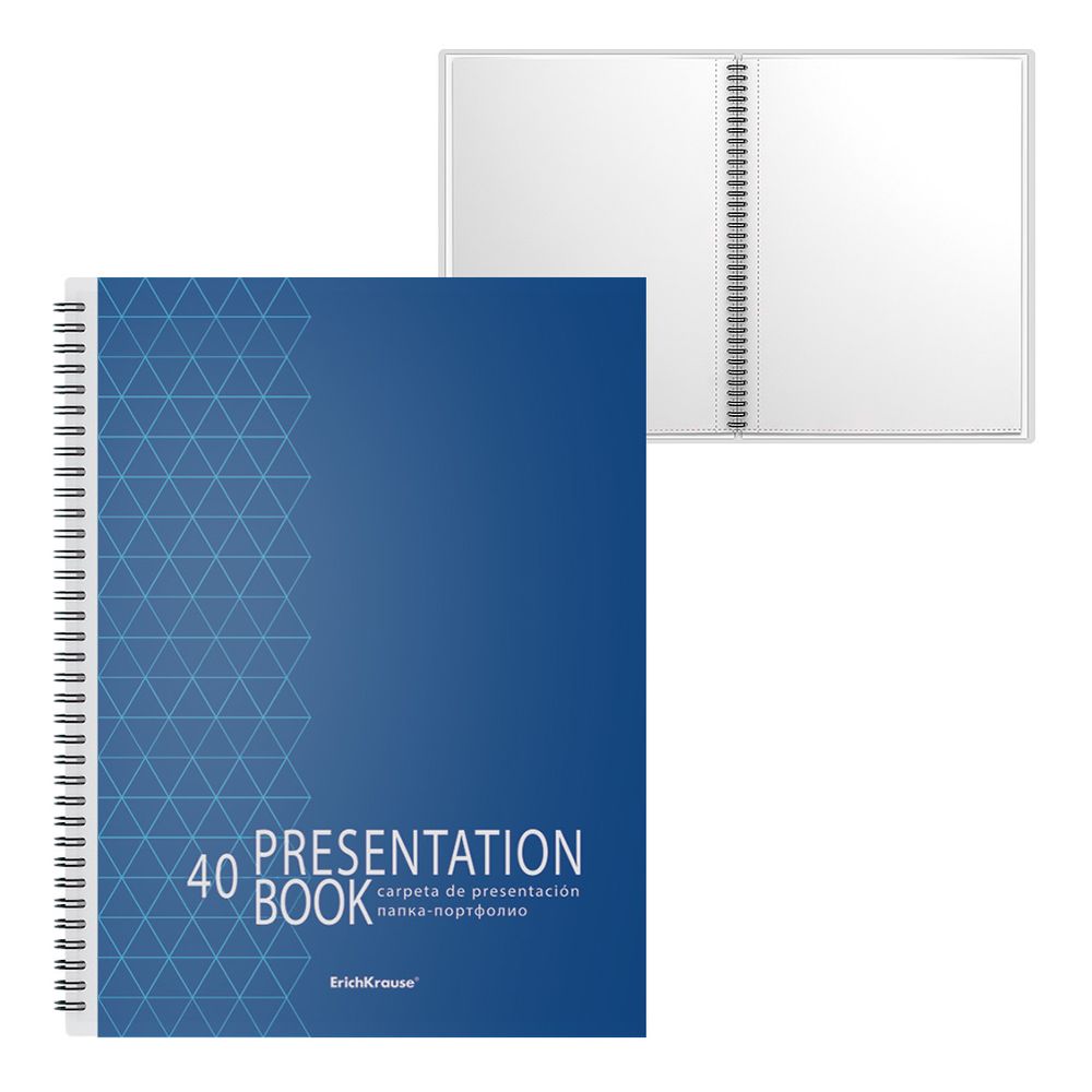 Папка-портфолио пластиковая ErichKrause Ladder of Success, c 40 карманами, A4