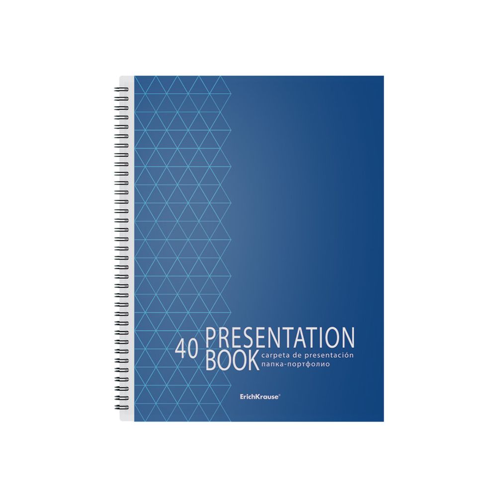 Папка-портфолио пластиковая ErichKrause Ladder of Success, c 40 карманами, A4