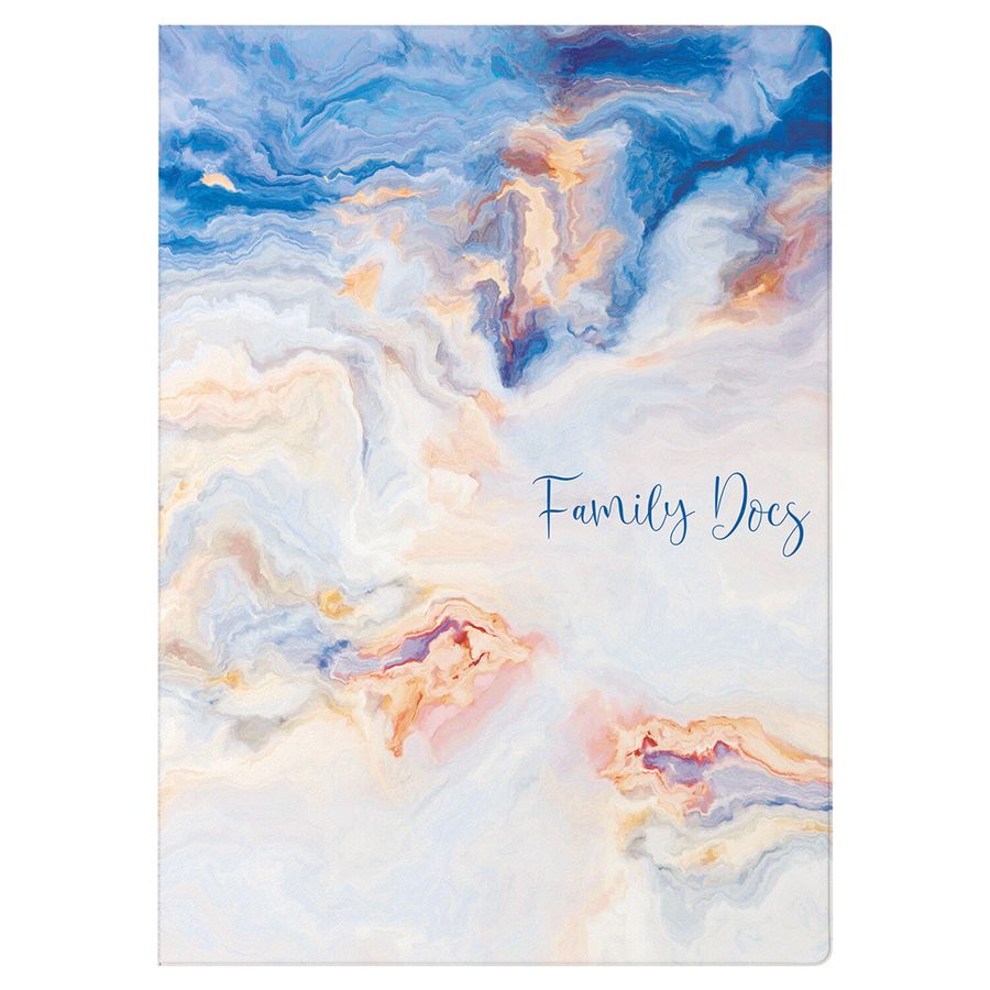 Папка-органайзер семейная для 4-х комплектов документов "Marble 2", А4, цветной принт, STAFF