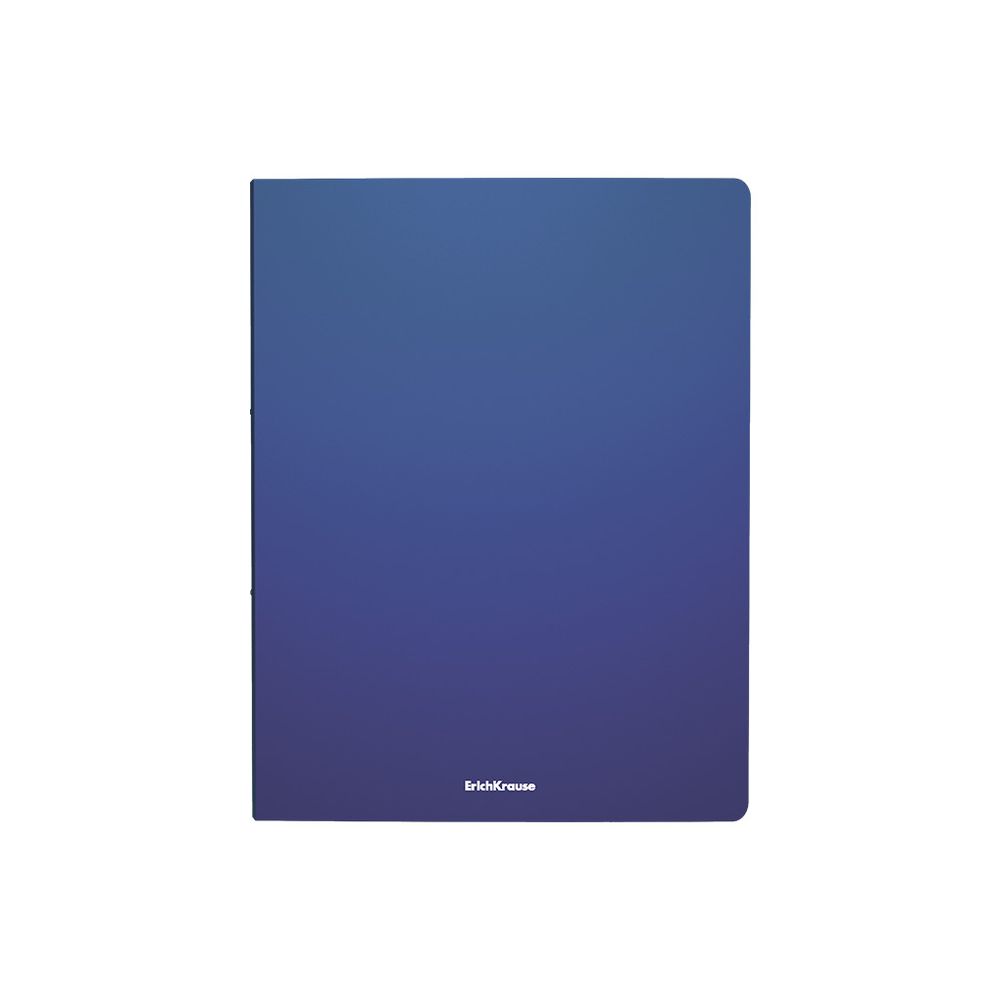 Папка файловая пластиковая ErichKrause Matt Classic, c 20 карманами, A4, синий