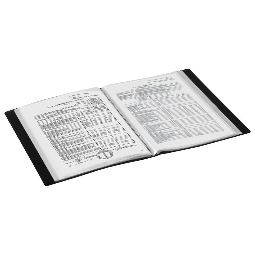 Папка 100 вкладышей BRAUBERG "Office", черная, 0,8 мм