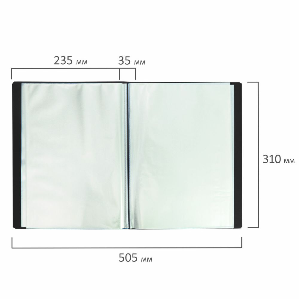 Папка 100 вкладышей BRAUBERG "Office", черная, 0,8 мм