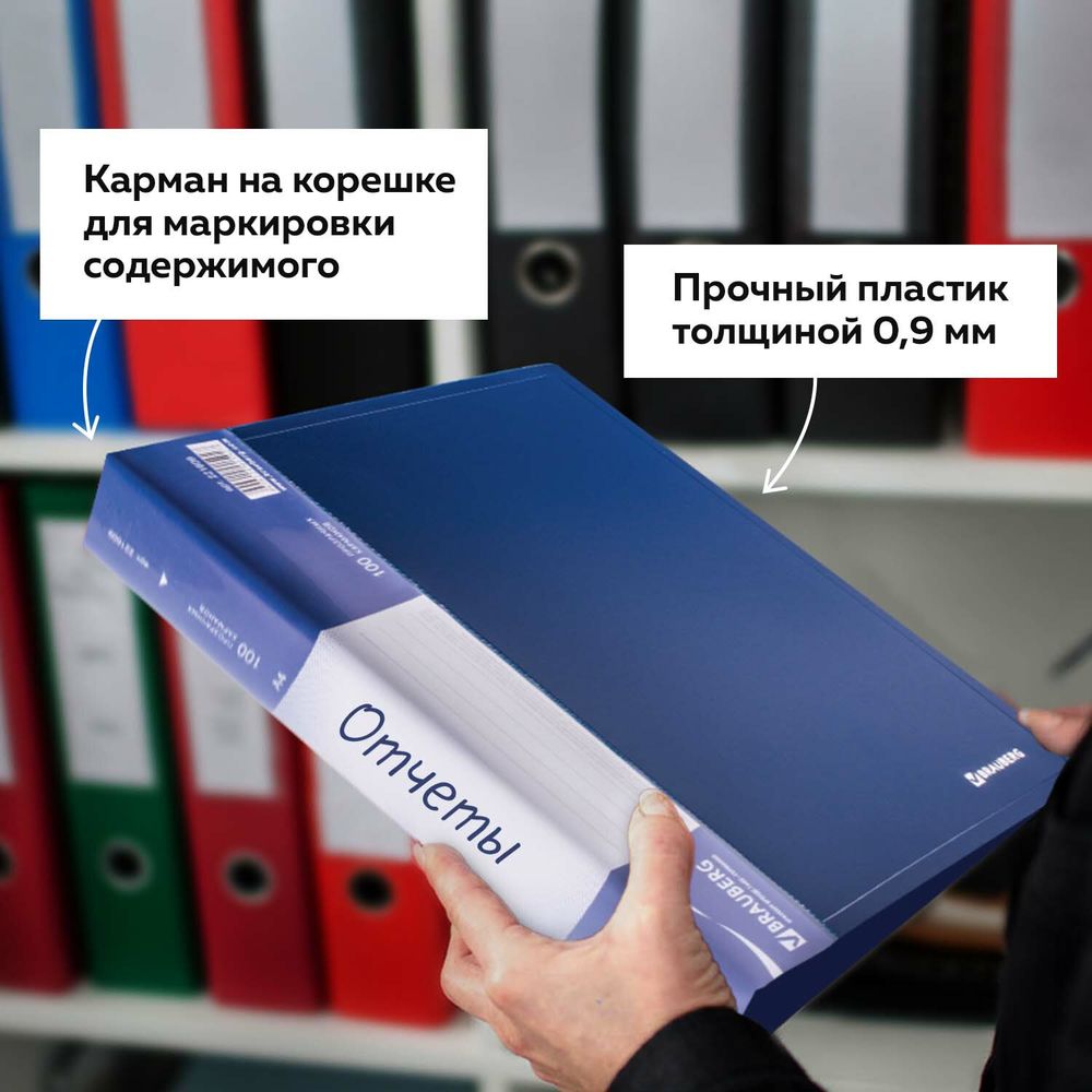 Папка 100 вкладышей BRAUBERG стандарт, синяя, 0,9 мм