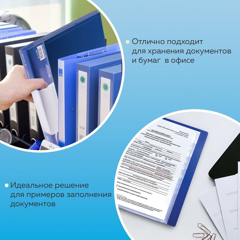 Папка 100 вкладышей BRAUBERG стандарт, синяя, 0,9 мм