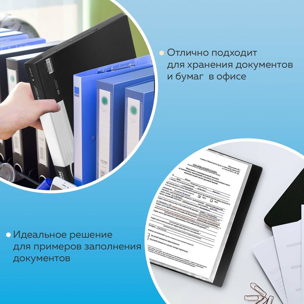 Папка 100 вкладышей BRAUBERG стандарт, черная, 0,9 мм