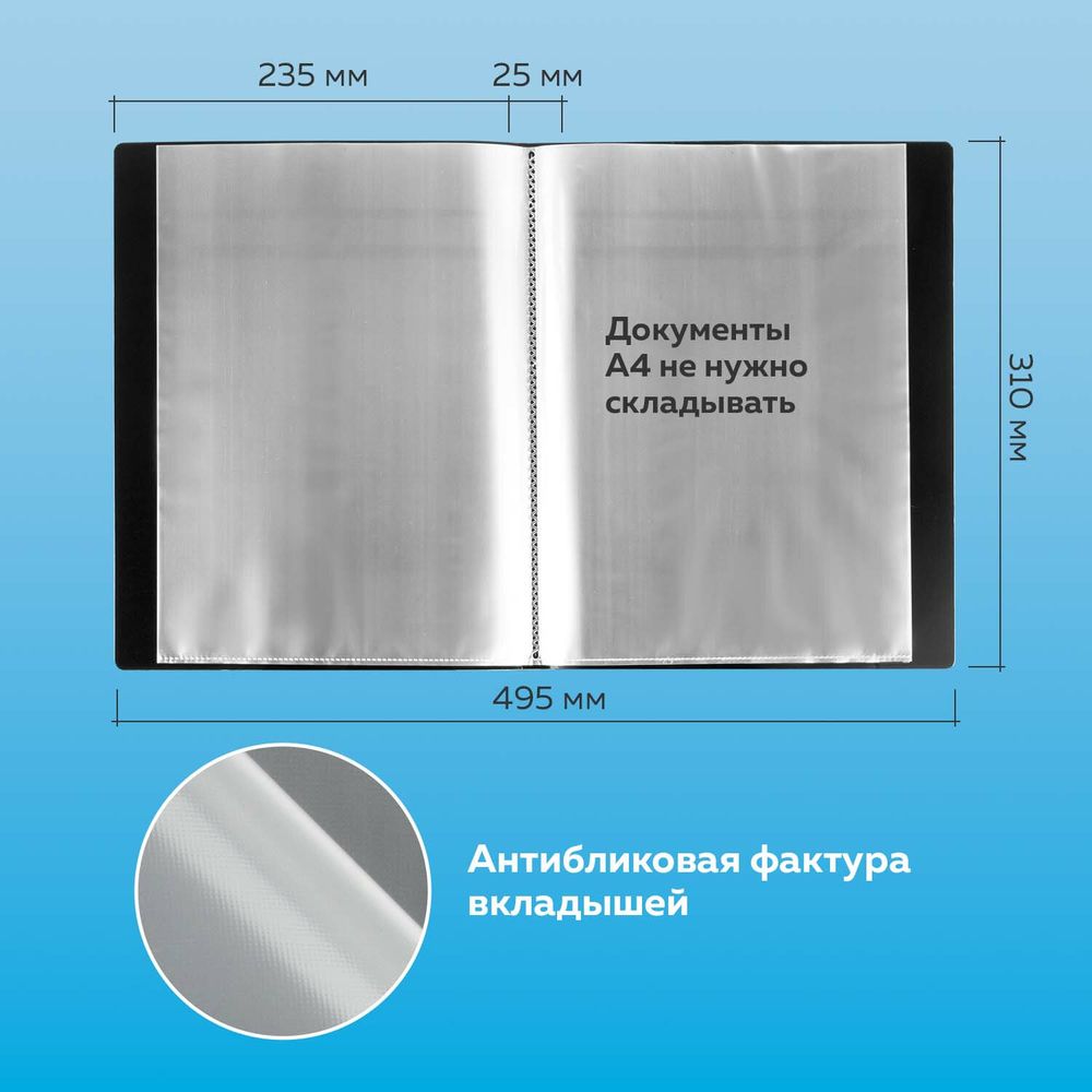 Папка 100 вкладышей BRAUBERG стандарт, черная, 0,9 мм