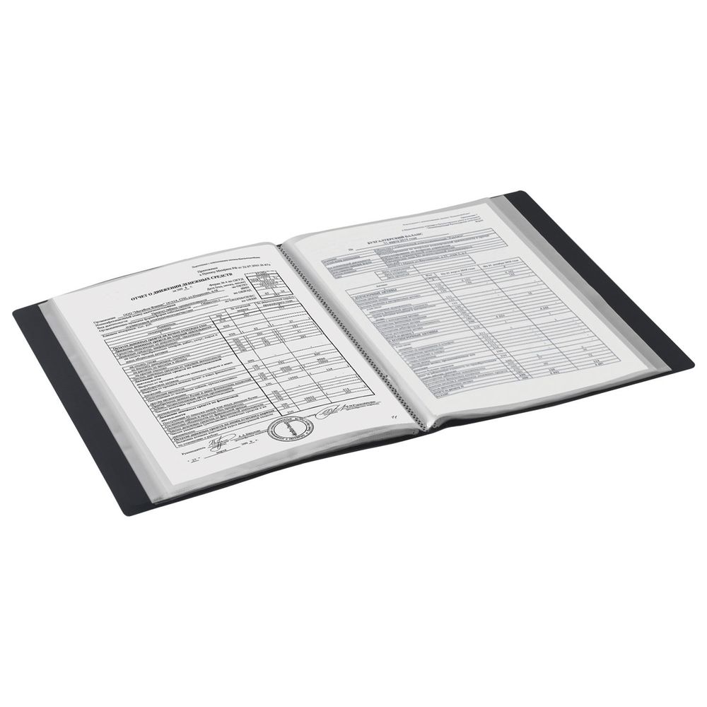 Папка 60 вкладышей BRAUBERG "Office", черная, 0,6 мм