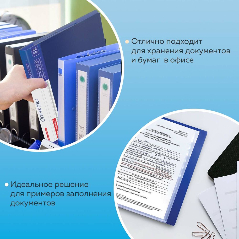 Папка 60 вкладышей BRAUBERG стандарт, синяя, 0,8 мм