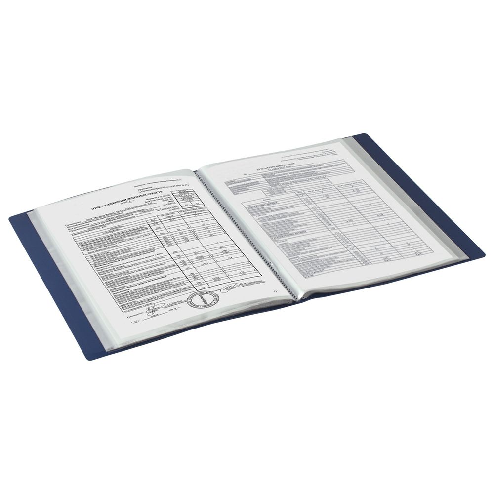 Папка 60 вкладышей BRAUBERG стандарт, синяя, 0,8 мм