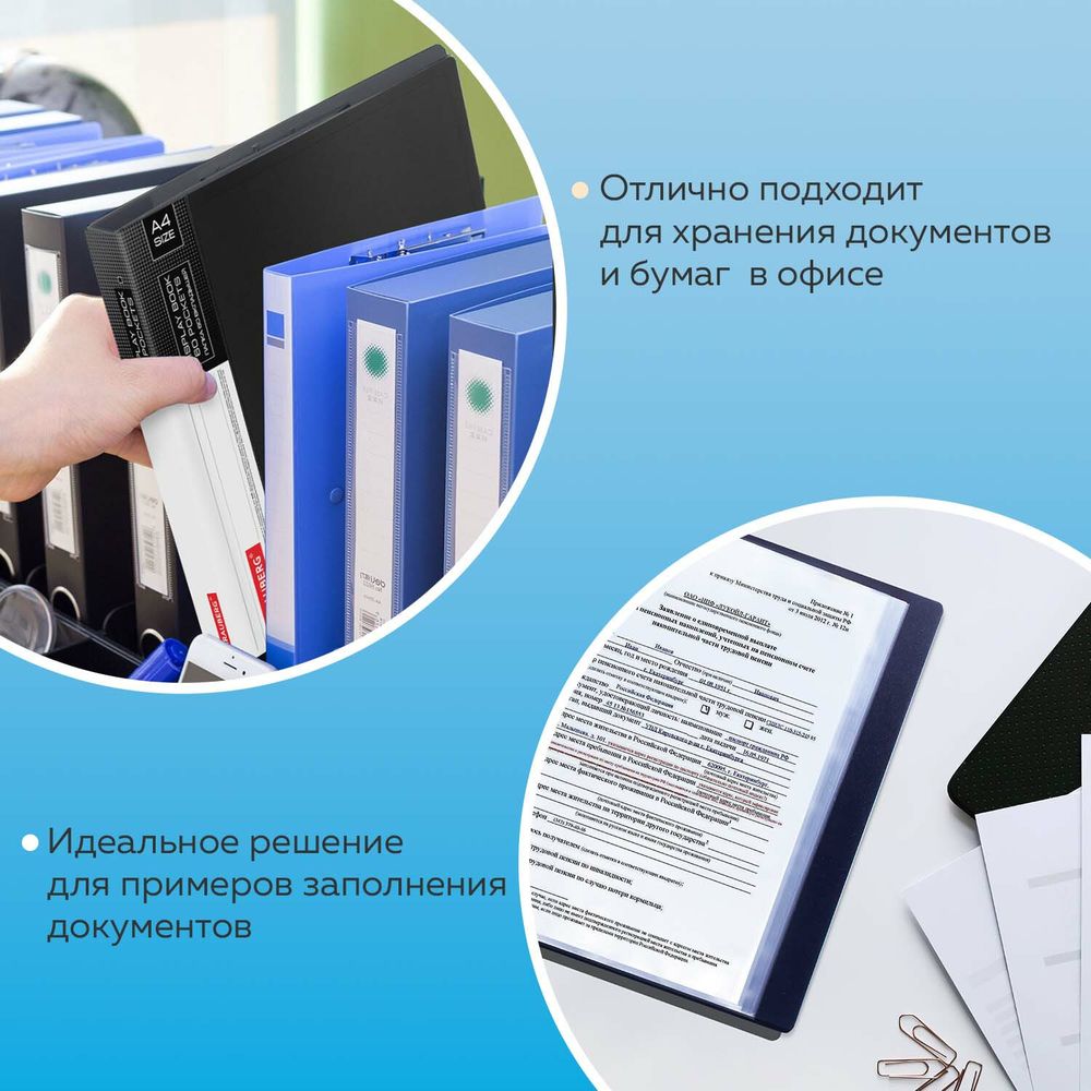 Папка 60 вкладышей BRAUBERG стандарт, черная, 0,8 мм