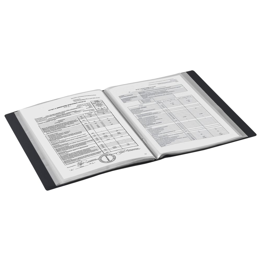 Папка 60 вкладышей BRAUBERG стандарт, черная, 0,8 мм